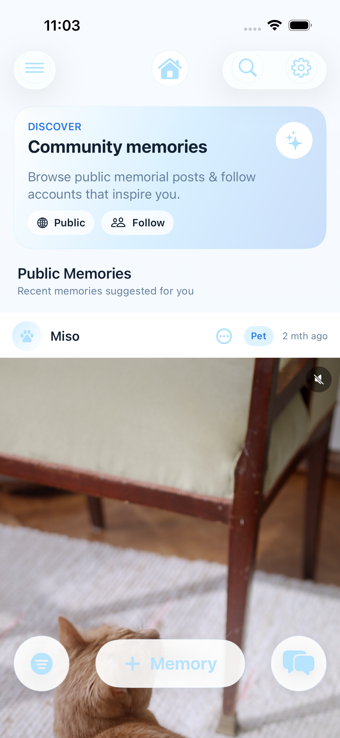 Current Rainbow Fields iOS home screen showing the public memories feed